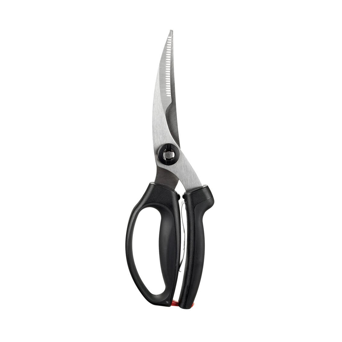 poultry-shears-a2 1072292V3.jpg