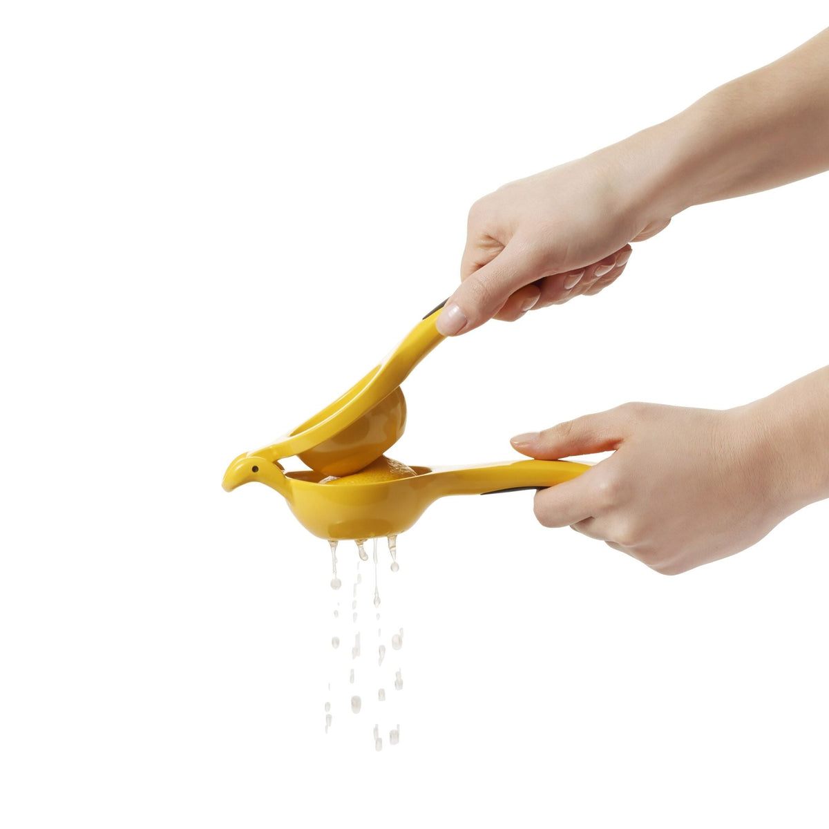 citrus-squeezer-b0 gg_1057962_4b.jpg