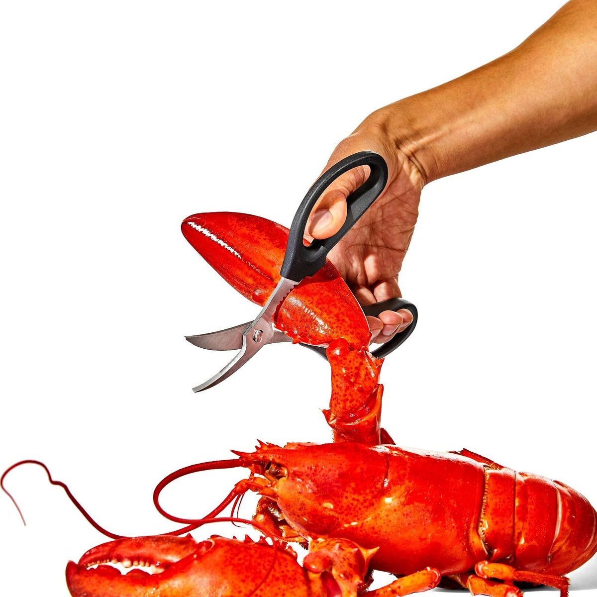seafood-scissors-c9 gg_11350600_seafoodscissors_03_p.jpg
